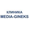 MEDIA-GINEKS